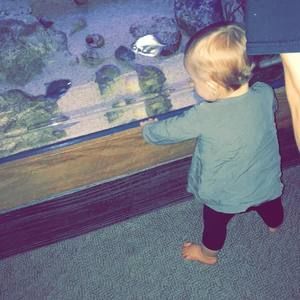 Meet your Posher, Rose